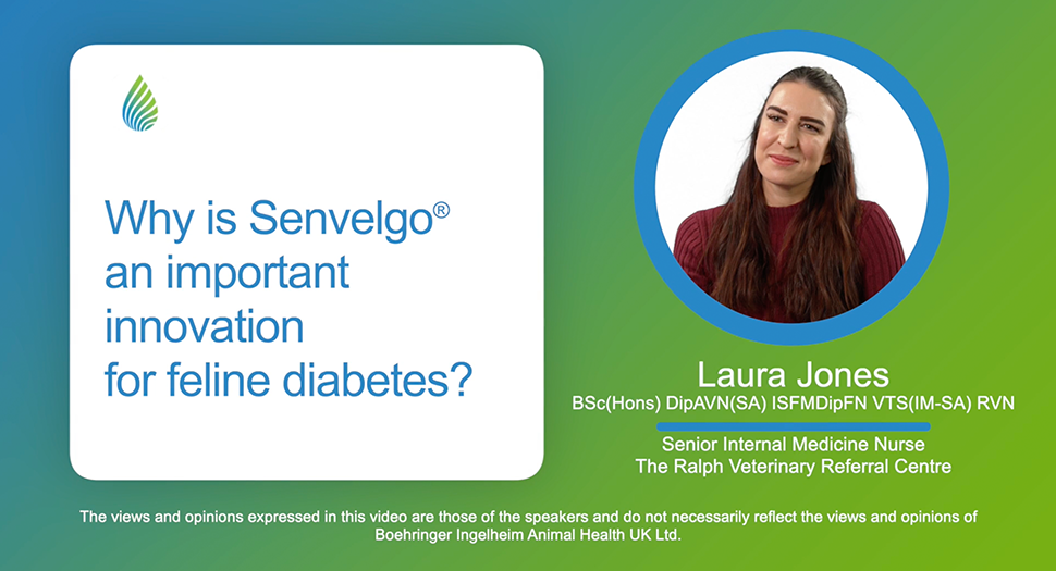 Why is Senvelgo an important innovation for cat diabetes? Video Thumbnail 