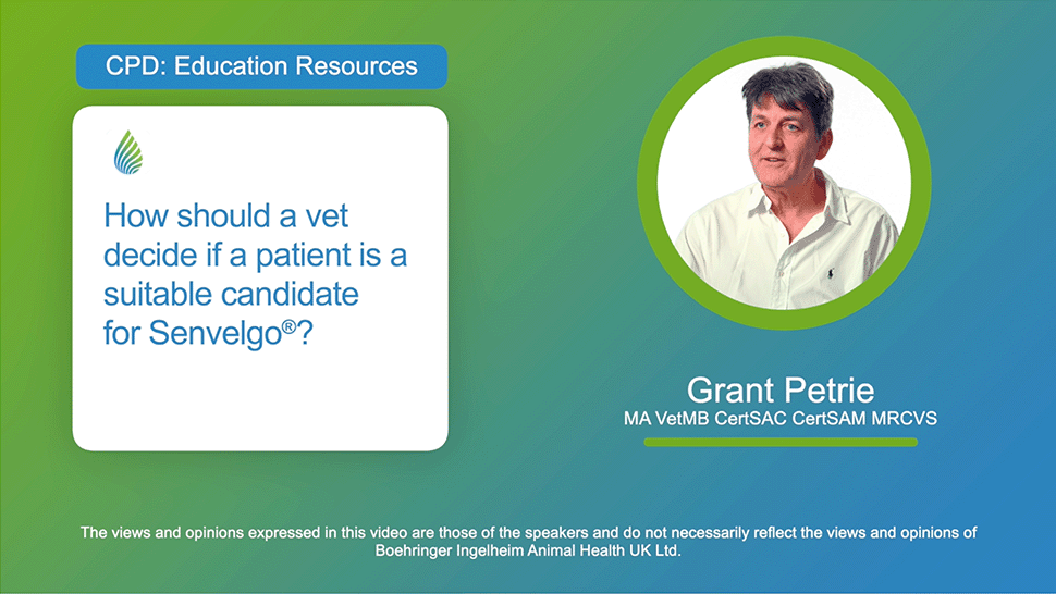 How should a vet decide if a patient is a suitable candidate for Senvelgo®?