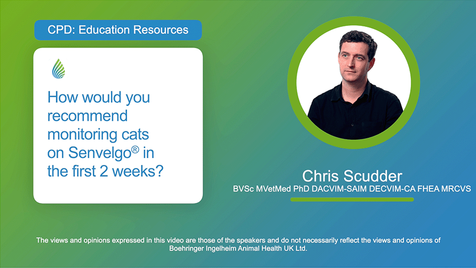 How would you recommend monitoring cats on Senvelgo® in the first 2 weeks?