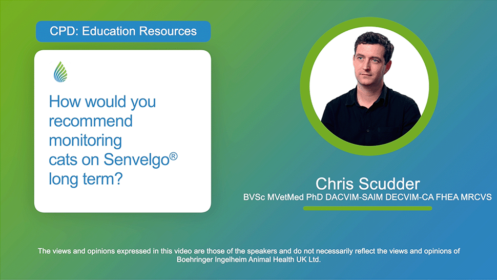 How would you recommend monitoring cats on Senvelgo® long term?