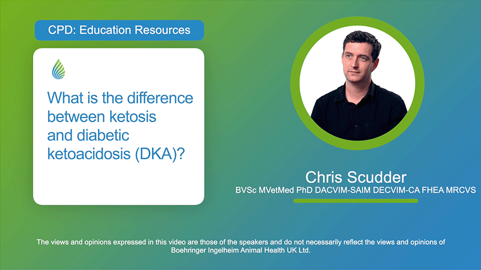 What is the difference between ketosis and diabetic ketoacidosis (DKA)?