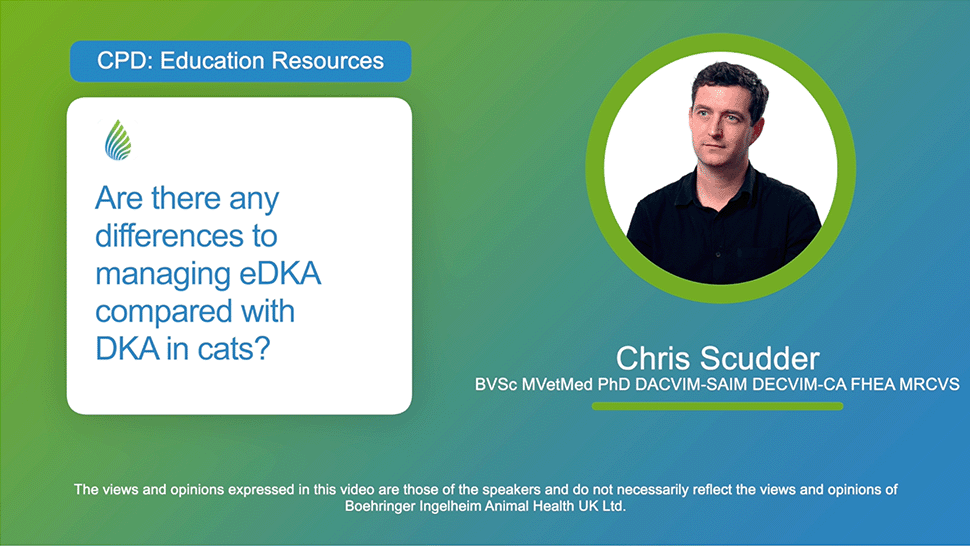 Are there any differences to managing eDKA compared with DKA in cats?